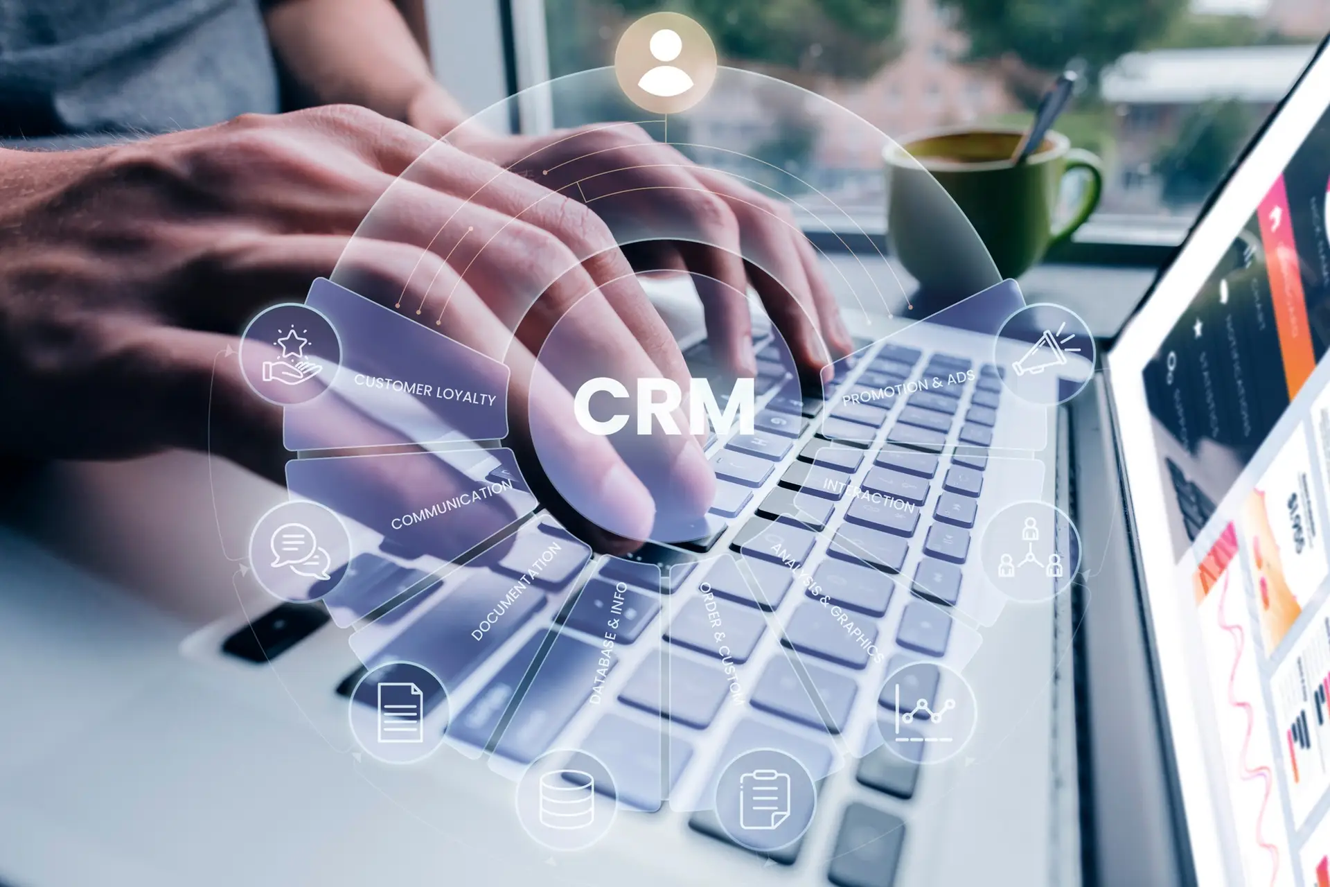 CRM Consultant