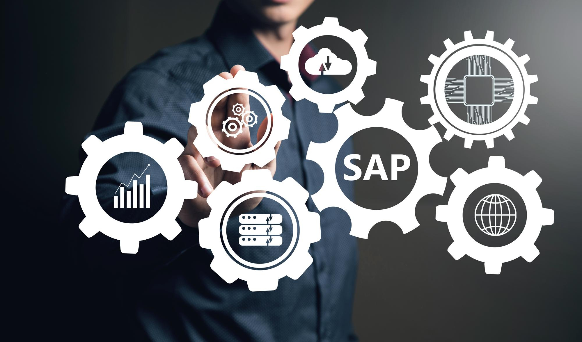 SAP ERP Modules Tailored for Accountants