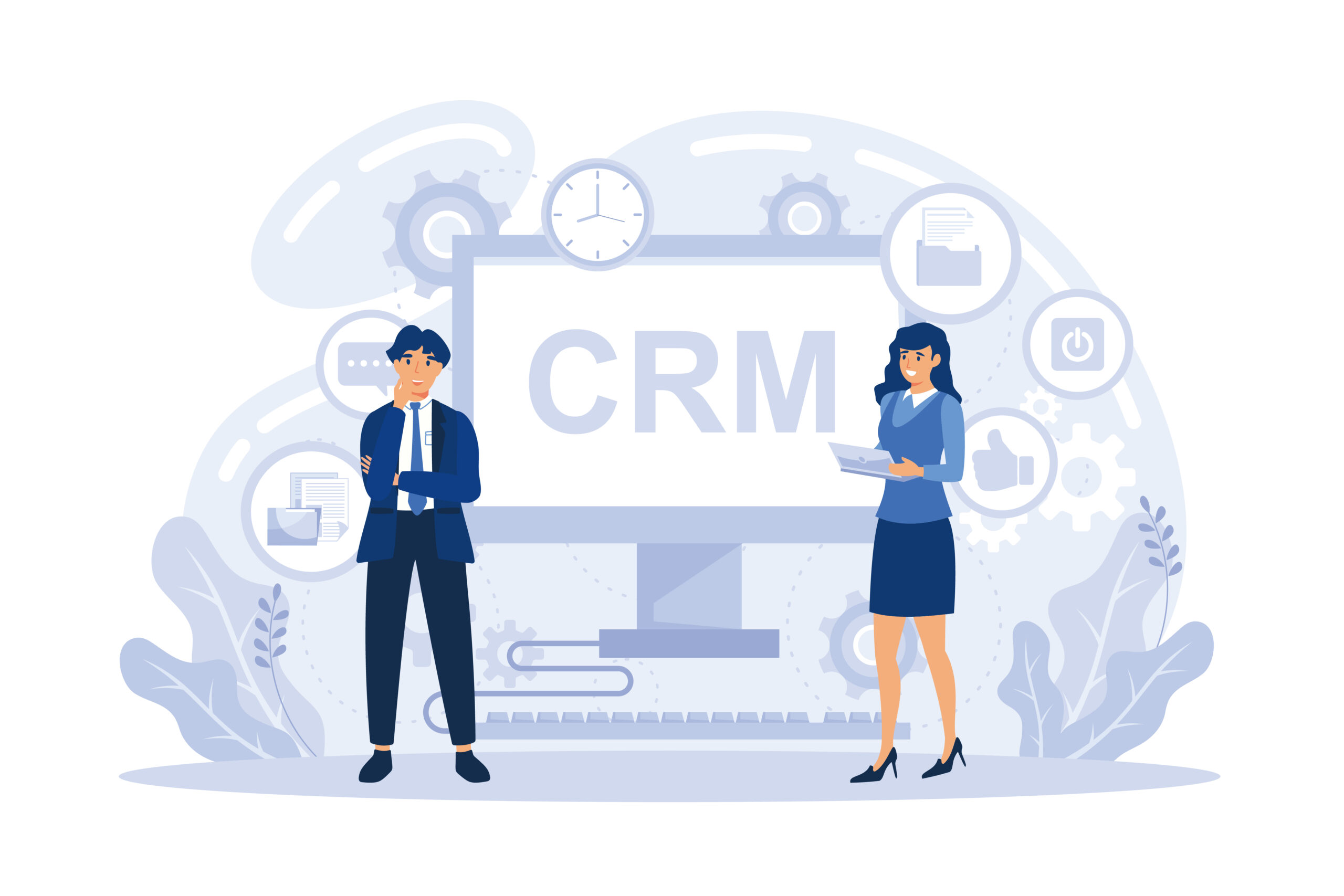 Types of CRM Consultants