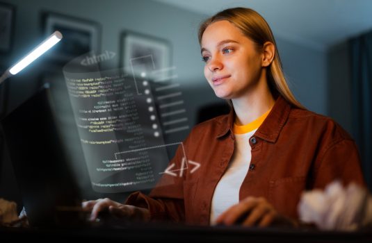 Application Programmer in Modern Software Development