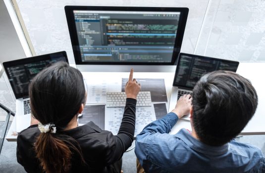 Career Development Pathways for Application Programmers