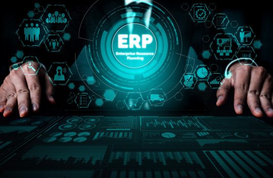 Functional Analysts Using Profit 21 ERP Systems