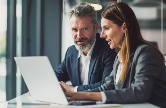 Web Consultants with ERP Experience