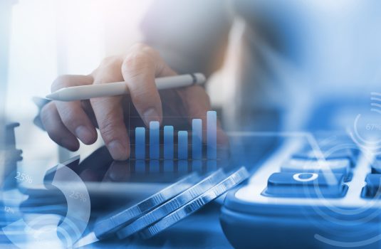Accountant Role