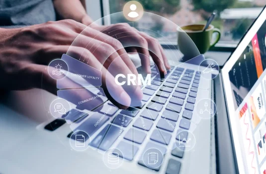 CRM Consultant