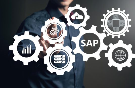SAP ERP Modules Tailored for Accountants