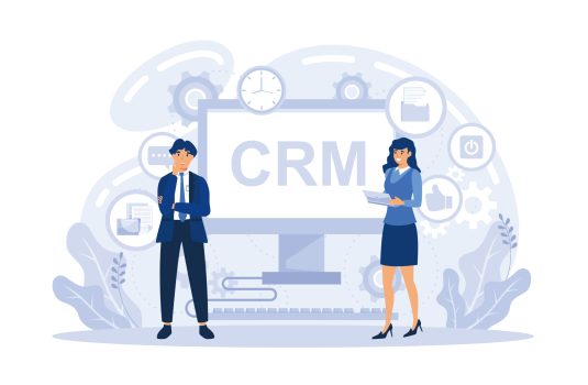Types of CRM Consultants