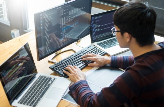 vbnet developer